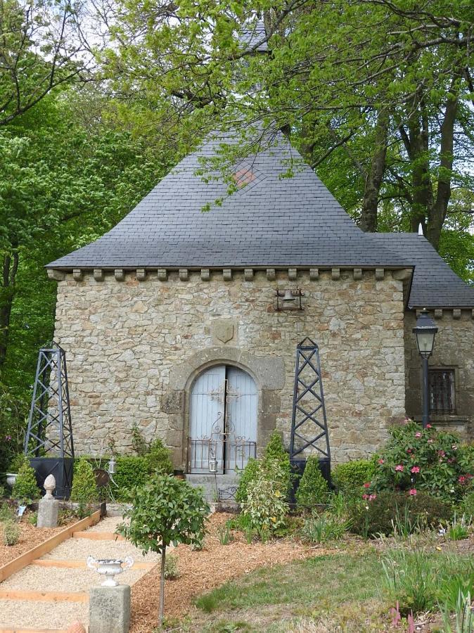 Chateau De Montbrault Fleurigné エクステリア 写真